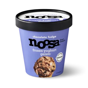 Noosa Chocolate Fudge Gelato Frozen Yogurt