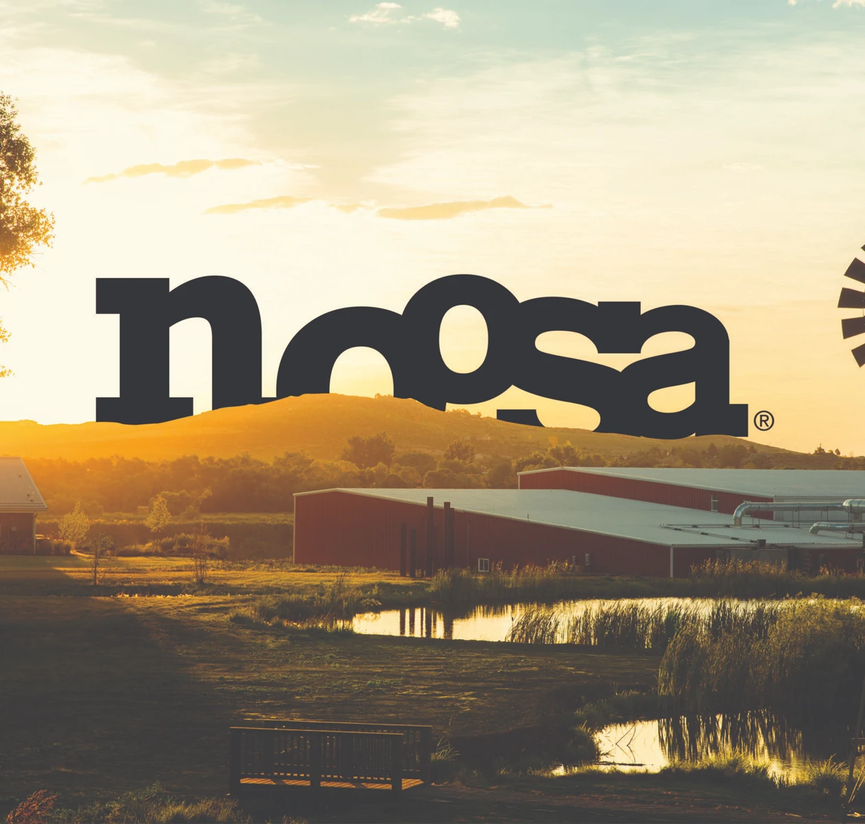 About Noosa Yoghurt