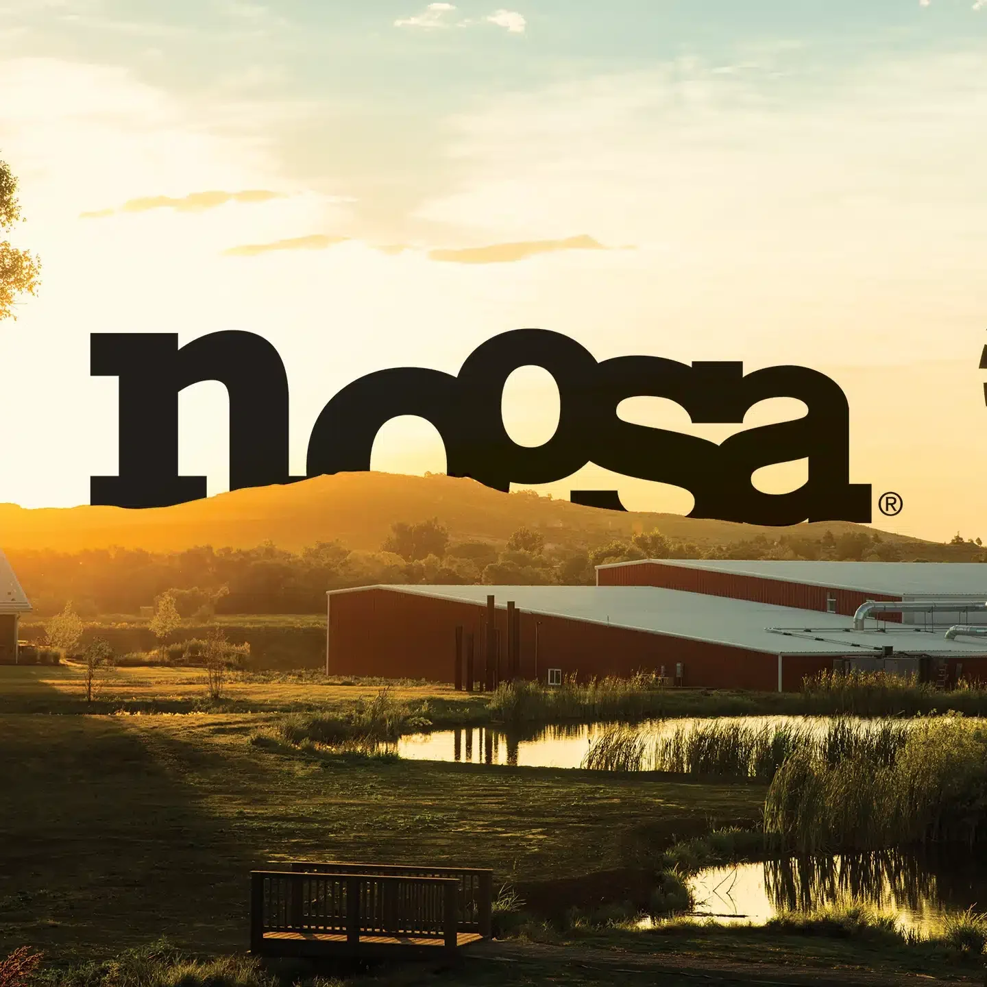 Noosa-Recipes-1440x1440.webp