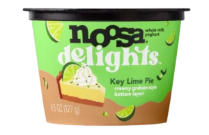 noosa delights Brownie Batter Yogurt