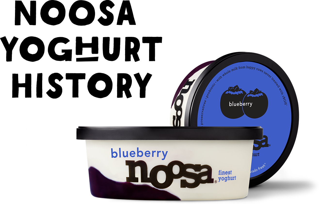 Noosa yoghurt history