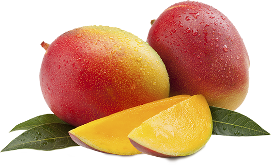 MANGOS