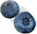 blueberries